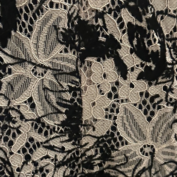 Danny & Nicole Black and Cream Floral Mini Dress - Picture 8 of 8